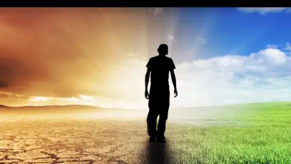 Steps Recovery Center - Preview